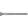 Totalturf 812104 25 Pack 0.5 x 6 in. Galvanized Lag Bolt TO2671479